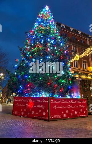 Dublin, Irlande - 19 décembre 2020 : lumières festives d'un magnifique arbre de Noël sur la rue O'Connell et la rue Henry en début de matinée Banque D'Images