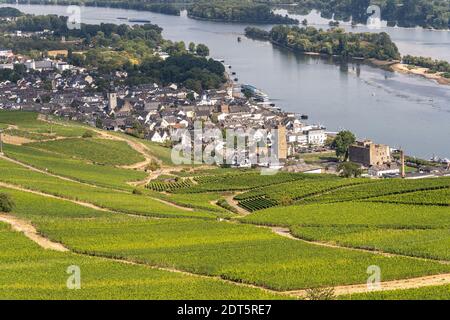 Magnifiques vignobles à flanc de colline le long du Rhin près de ruedesheim et Le monument niederwald en Allemagne Banque D'Images