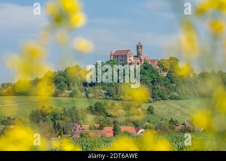 vue sur le château de ronneburg à hesse, en allemagne, au premier plan vert Banque D'Images