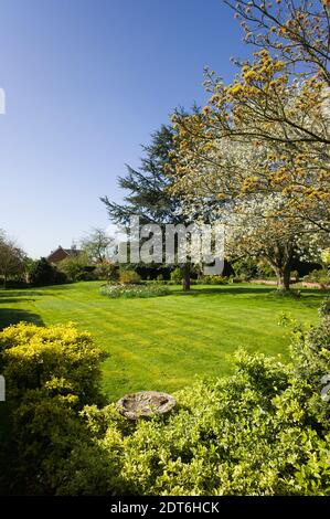Vue sur le paysage sur une pelouse en forme de gree au printemps Un jardin anglais au Royaume-Uni Banque D'Images