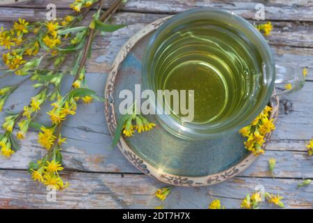 goldenrod, tige dorée (Solidago virgaurea), thé à base de fleurs, Allemagne Banque D'Images