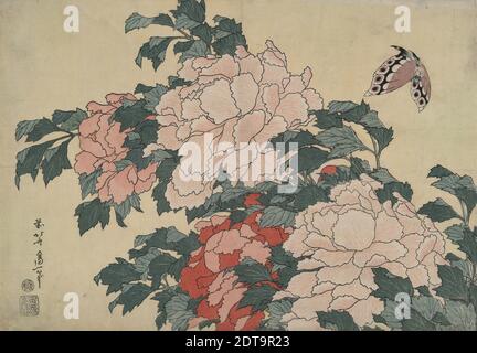 Artiste: Katsushika Hokusai, japonais, 1760–1849, pivoines et papillons, d'une série sans titre nommée grandes fleurs, vers 1833–34, Ukiyo-e; impression polychrome sur blocs de bois, feuille: 10 1/4 × 15 1/4 po. (26 × 38.7 cm), 葛飾北斎 芍薬と蝶 浮世絵錦絵 江戸時代 , Japon, japonais, période Edo (1615–1868), fonctionne sur papier - tirages Banque D'Images