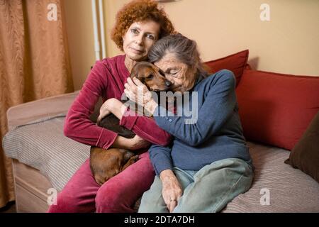 Une femme adulte prend soin de sa mère âgée atteinte de démence, passant du temps à la maison avec ses parents et ses chiens, souriant et se relaxant à l'intérieur. Thème carin Banque D'Images