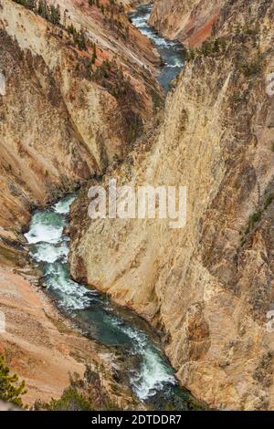 États-Unis, Wyoming, parc national de Yellowstone, rivière Yellowstone traversant le Grand Canyon dans le parc national de Yellowstone Banque D'Images