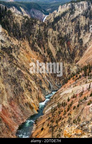 États-Unis, Wyoming, parc national de Yellowstone, rivière Yellowstone traversant le Grand Canyon dans le parc national de Yellowstone Banque D'Images