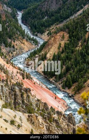 États-Unis, Wyoming, parc national de Yellowstone, rivière Yellowstone traversant le Grand Canyon dans le parc national de Yellowstone Banque D'Images