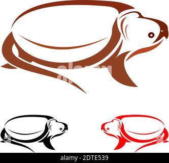 Image vectorielle d'une tortue sur fond blanc Illustration de Vecteur