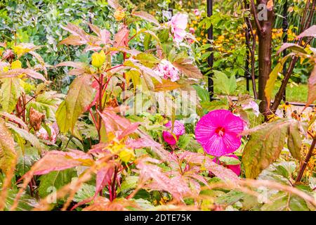 Le parc et les jardins de Guild Park Guild Inn Estate Scarborough Toronto Ontario Canada Banque D'Images