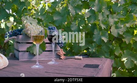 Grappes de raisins rouges et blancs et rouges et blanches vin dans des verres avec un fond marron entre les vignes Banque D'Images