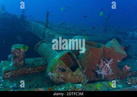 Une épave photographiée pendant la plongée sous-marine à Bali (Kubu Wreck Off Amed) Banque D'Images