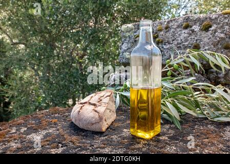 Récolte d'olives avec bouteille d'huile à fond rocheux en gris avec pain Banque D'Images