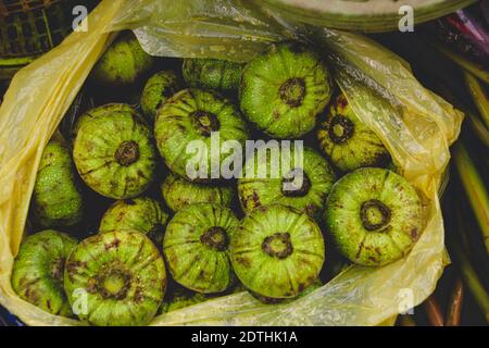 Figues asiatiques sauvages (Ficus carica) Vendu au marché traditionnel de Luang Prabang matin au Laos Banque D'Images