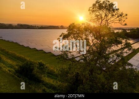 Ferme solaire dans la campagne anglaise au lever du soleil avec un grand chêne Banque D'Images