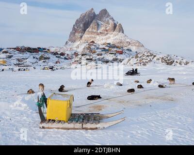 Équipe de chiens de traîneau pendant l'hiver à Uummannaq, dans le nord-ouest du Groenland. Les équipes de chiens sont encore des animaux de trait pour les pêcheurs des villages et St Banque D'Images