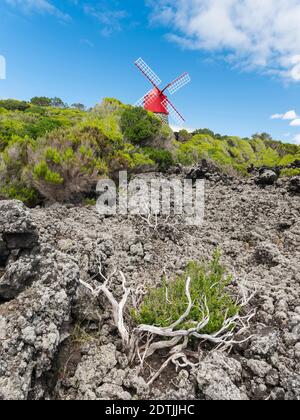 Moulin à vent traditionnel près de Sao Joao. Pico Island, une île des Açores (Ilahas dos Acores) dans l'océan Atlantique. Les Açores sont un régio autonome Banque D'Images