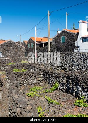 Village Cachorro sur la côte nord, un village traditionnel de vignerons. Pico Island, une île des Açores (Ilahas dos Acores) dans l'Atlantique o Banque D'Images