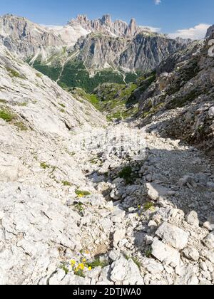 Dolomites au col de Falzarego, Lagazuoi, Fanes et Monte Cavallo dans le parc naturel Fanes Sennes Prags, les Dolomites font partie du monde de l'UNESCO Banque D'Images