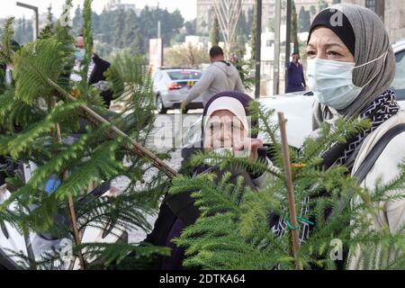 Jérusalem, Israël. 22 décembre 2020. Le Père Noël, ou « Baba Noel » comme il est appelé en arabe, se déplace à dos de chameau pour remplacer le renne près de la porte Jaffa de la vieille ville de Jérusalem. La municipalité de Jérusalem et le Fonds national juif ont distribué des cyprès d'Arizona spécialement cultivés à la population chrétienne à la porte de Jaffa. Crédit : NIR Amon/Alamy Live News Banque D'Images