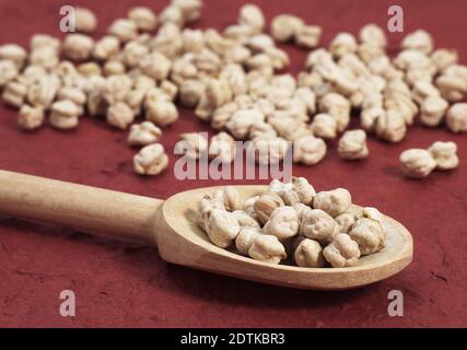 Les Pois chiches secs, Cicer arietinum Banque D'Images