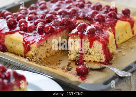 Gâteau sucré à la stracciatella recouvert de gelée de fruits rouges, de cerises et de sauce à la vanille Banque D'Images