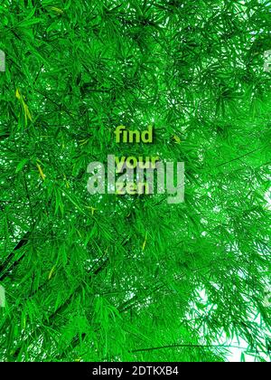Une photo verticale d'arbres verts avec un « Trouvez votre le texte de zen est écrit dessus Banque D'Images