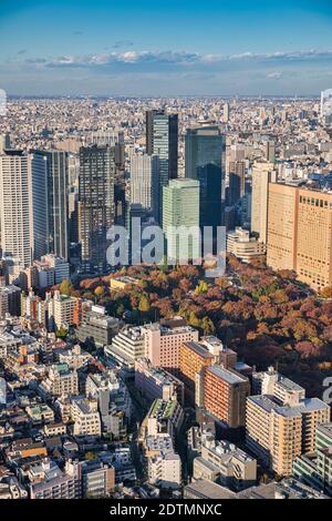 Japon, Tokyo, Shinjuku District, Central Park Banque D'Images