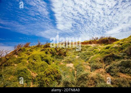 Cape Wolamai en Australie Banque D'Images