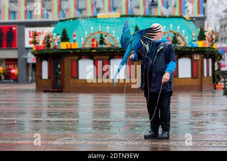 Essen, Allemagne. 22 décembre 2020. Michael laisse ses deux perroquets Chikko et Chikka (macaw) voler sur Kennedyplatz devant un stand de Noël fermé. L'Essener laisse ses deux perroquets voler régulièrement - également dans le centre-ville - à l'extérieur. Credit: Rolf Vennenbernd/dpa/Alay Live News Banque D'Images