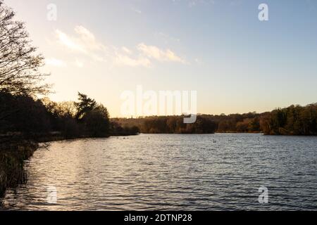 Vue en début de matinée sur le lac Trentham dans les jardins Trentham, Stoke on Trent Banque D'Images