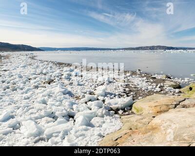 Rivage jonché de icebergs du glacier Eqip (glacier Eqip Sermia ou glacier EQI) au Groenland. Régions polaires, Danemark, août Banque D'Images