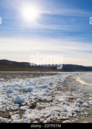 Rivage jonché de icebergs du glacier Eqip (glacier Eqip Sermia ou glacier EQI) au Groenland. Régions polaires, Danemark, août Banque D'Images