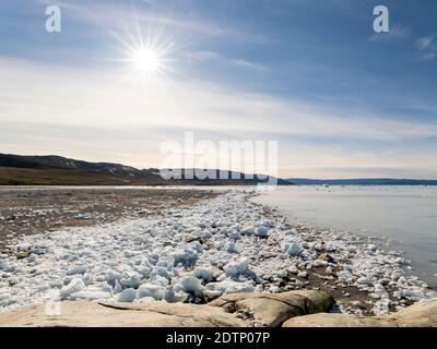 Rivage jonché de icebergs du glacier Eqip (glacier Eqip Sermia ou glacier EQI) au Groenland. Régions polaires, Danemark, août Banque D'Images