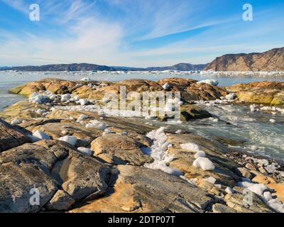 Rivage jonché de icebergs du glacier Eqip (glacier Eqip Sermia ou glacier EQI) au Groenland. Régions polaires, Danemark, août Banque D'Images