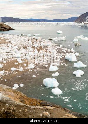 Rivage jonché de icebergs du glacier Eqip (glacier Eqip Sermia ou glacier EQI) au Groenland. Régions polaires, Danemark, août Banque D'Images