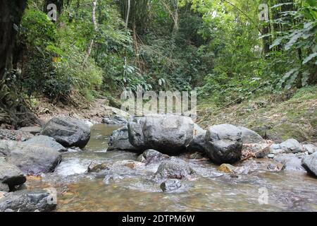 Une photo des cascades d'Argyle dans les Caraïbes, Roxborough, Trinidad & Tobago Banque D'Images