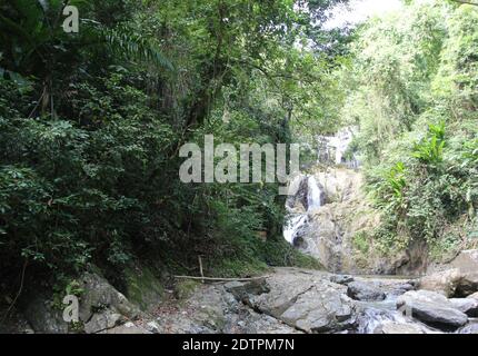 Une photo des cascades d'Argyle dans les Caraïbes, Roxborough, Trinidad & Tobago Banque D'Images