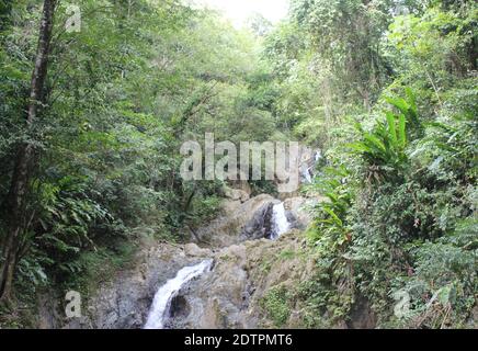 Une photo des cascades d'Argyle dans les Caraïbes, Roxborough, Trinidad & Tobago Banque D'Images