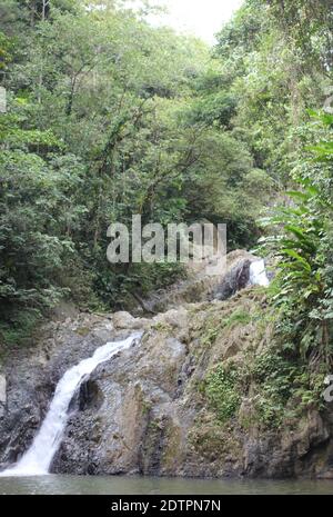 Une photo des cascades d'Argyle dans les Caraïbes, Roxborough, Trinidad & Tobago Banque D'Images