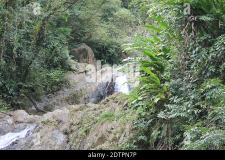 Une photo des cascades d'Argyle dans les Caraïbes, Roxborough, Trinidad & Tobago Banque D'Images