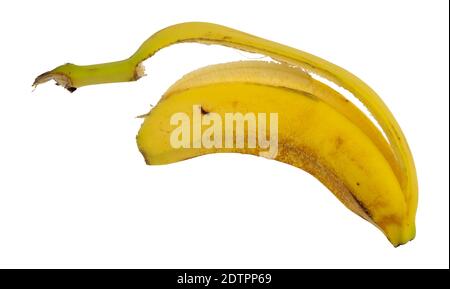 Vue de dessus d'une banane mangée avec seulement le pelage laissé isolé sur un fond blanc. Banque D'Images