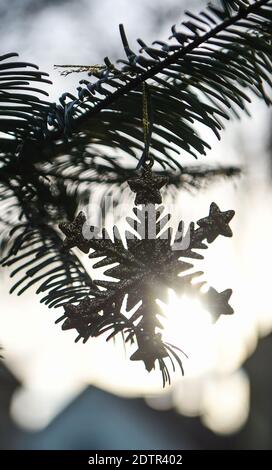 Berlin, Allemagne. 21 décembre 2020. Un flocon de neige artificiel est suspendu d'une branche comme décoration. Credit: Kira Hofmann/dpa-Zentralbild/dpa/Alay Live News Banque D'Images