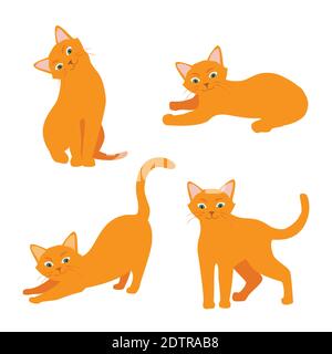 Ensemble de chat de dessin animé avec différentes poses et émotions. Comportement de Cat et langage corporel. Chatte au gingembre dans un style simple, illustration vectorielle isolée. Illustration de Vecteur