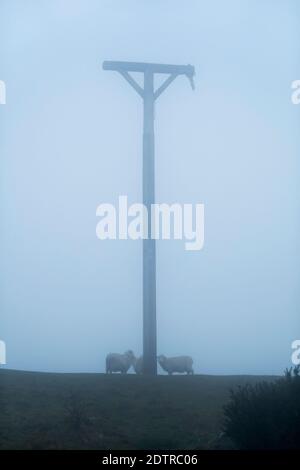 Combe gibbet au sommet de Inkpen Beacon dans le brouillard avec des moutons sur Gallets en bas, Inkpen, Berkshire, Angleterre, Royaume-Uni, Europe Banque D'Images