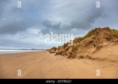 Dunes de sable sur la plage de Malltraeth au bord de la forêt de Newborough sur l'île de Llanddwyn, Anglesey, pays de Galles Banque D'Images