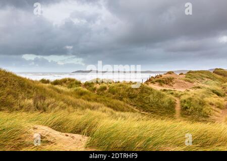 Dunes de sable sur la plage de Malltraeth au bord de la forêt de Newborough sur l'île de Llanddwyn, Anglesey, pays de Galles Banque D'Images