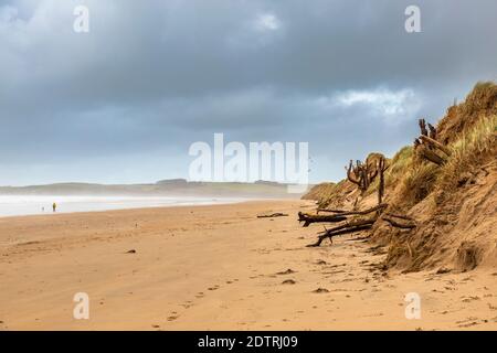 Dunes de sable sur la plage de Malltraeth au bord de la forêt de Newborough sur l'île de Llanddwyn, Anglesey, pays de Galles Banque D'Images