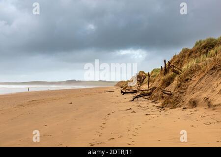 Dunes de sable sur la plage de Malltraeth au bord de la forêt de Newborough sur l'île de Llanddwyn, Anglesey, pays de Galles Banque D'Images