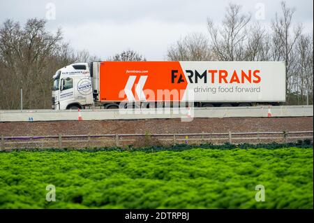 Dorney, Royaume-Uni. 22 décembre 2020. Un conteneur de nourriture Farm Trans sur la M4 aujourd'hui. Suite à la nouvelle variante Covid-19 dans le sud-est de l'Angleterre, la France a fermé ses ports de distribution au fret britannique. En dépit de cela, il a été comme d'habitude aujourd'hui, car il y avait beaucoup de fret en cours de transport sur la M4. L'action d'Emmanuel Macron, le président de la France, pourrait conduire à des pénuries temporaires d'agrumes et de légumes importés de l'UE, mais l'action française semble seulement renforcer la campagne d'achat britannique. Crédit : Maureen McLean/Alay Live News Banque D'Images