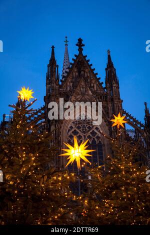 Décoré d'arbres de Noël sur Roncalliplatz en face de la cathédrale pendant la Corona Pandemic, Cologne, Allemagne. Il y a généralement une grande mA de Noël Banque D'Images