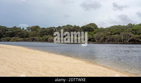 Poncez la dune le long d'une rive et de Melaleucas et d'eucalyptus Et des exfoliations le long de la rivière Moore Guilderton en Australie occidentale Banque D'Images